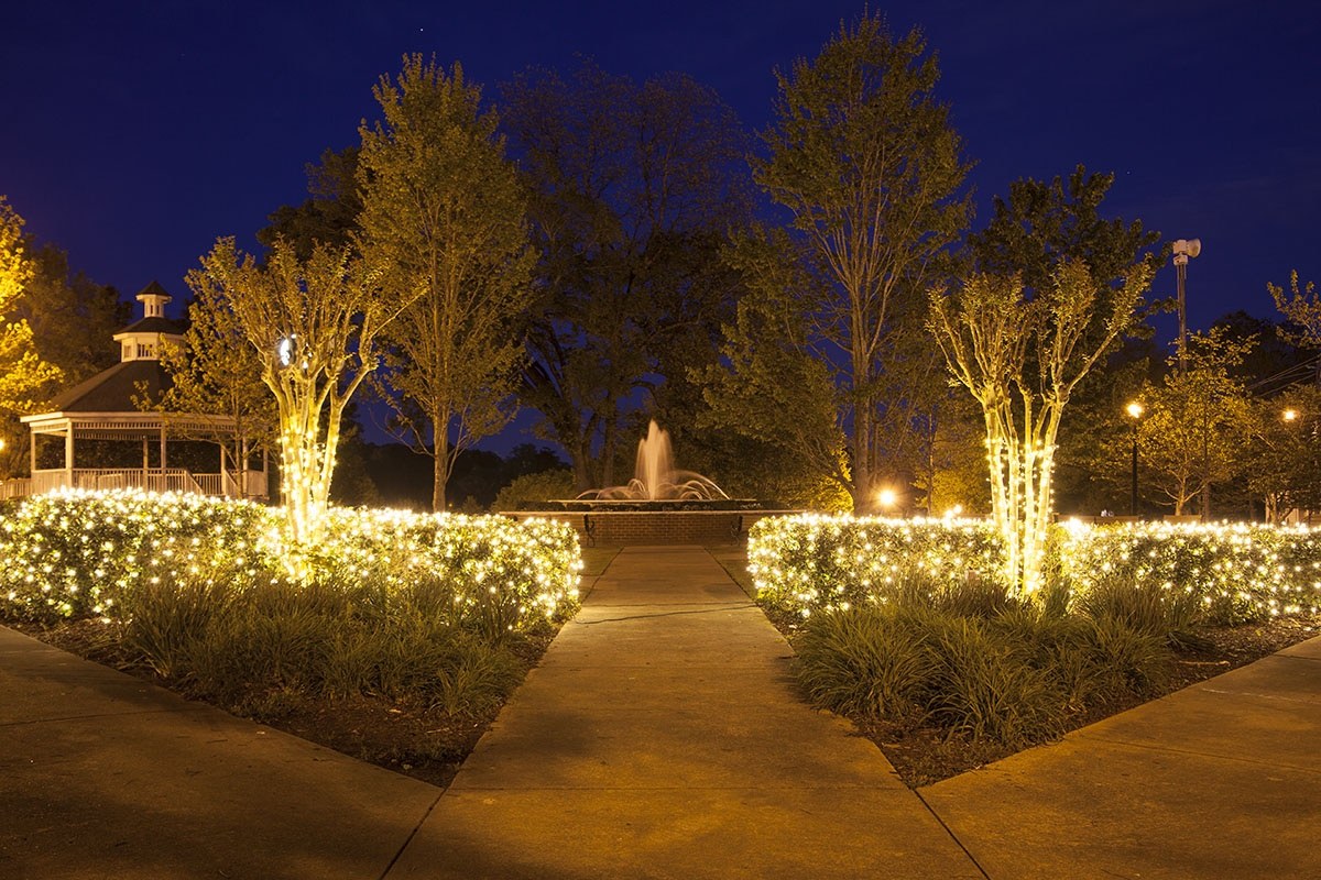 Shrubs covered in colorful Christmas net lights at night